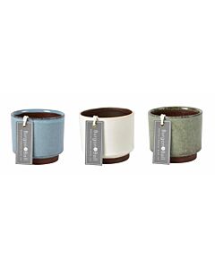 Burgon & Ball Malibu Succulent Pots
